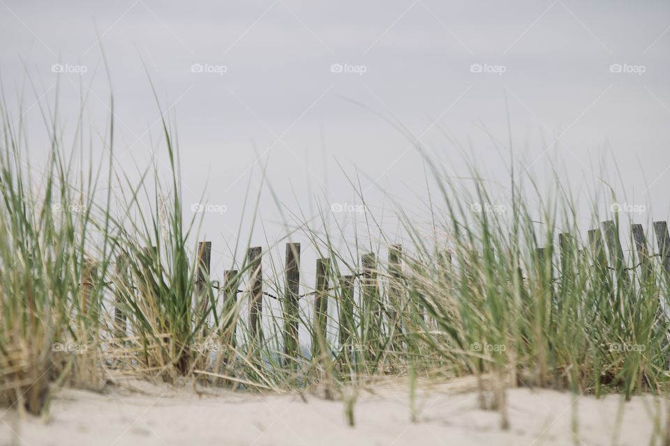 Windy day at the beach