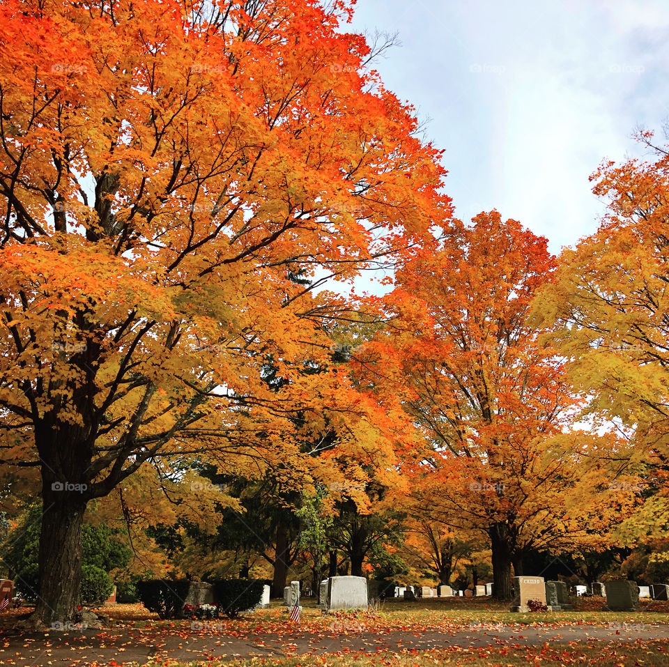 Wakefield, Massachusetts 