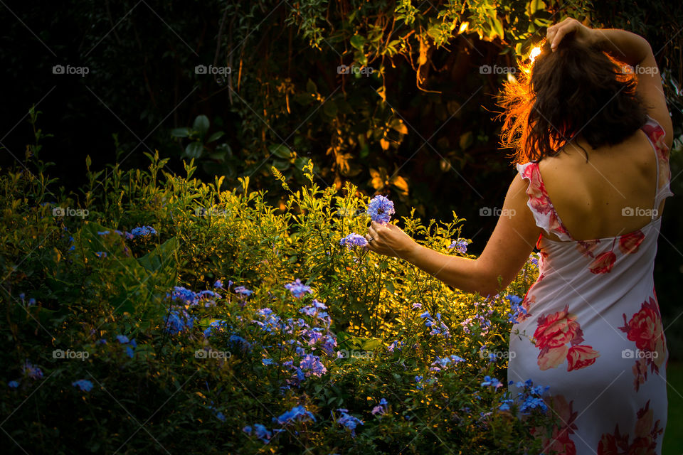 Spring flowers late afternoon - image of woman in floral spring dress picking a purple flower at sunset.