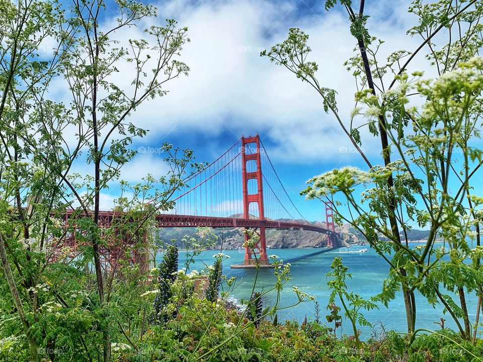 Golden Gate Bridge through my eyes