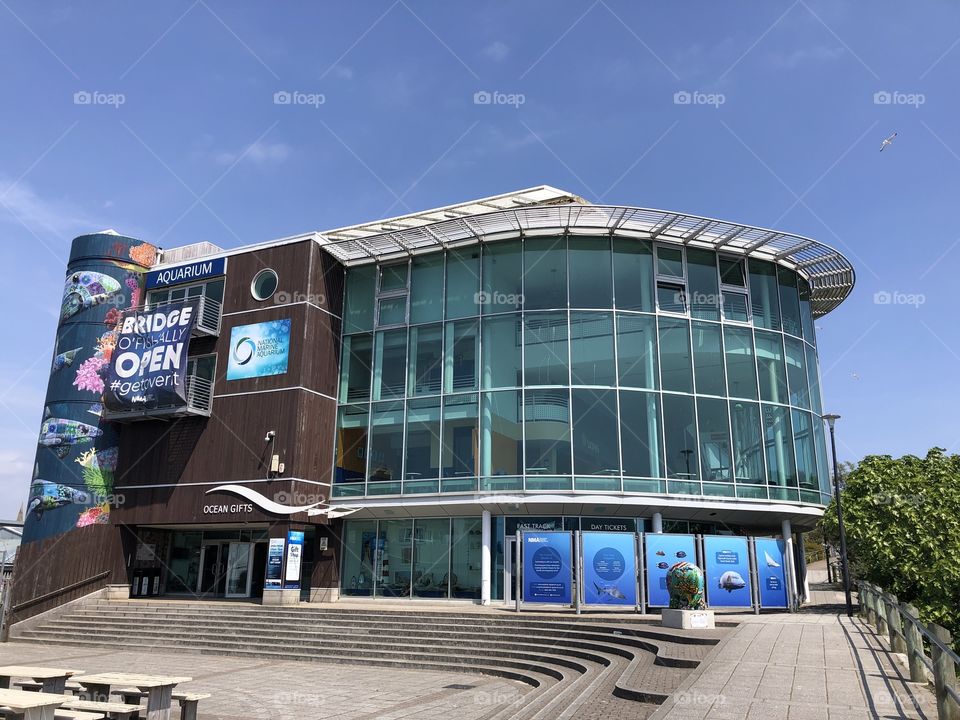 Plymouth’s Barbican has an extremely impressive Aquarium called the “National Marine” Aquarium.