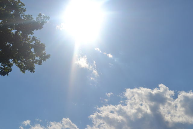 Sunny