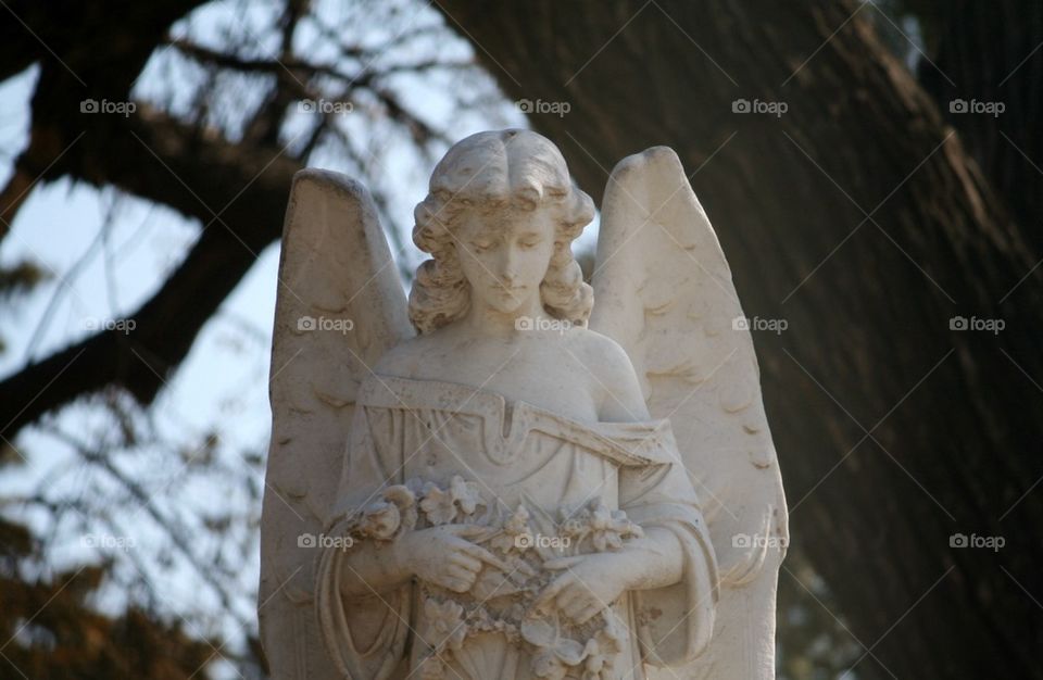 Angel in  Cemetery   