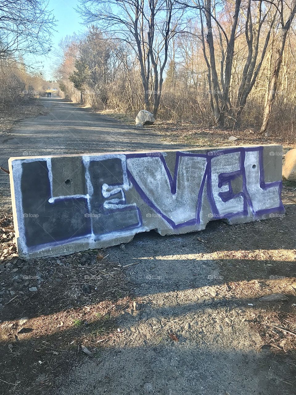 Spray paint level