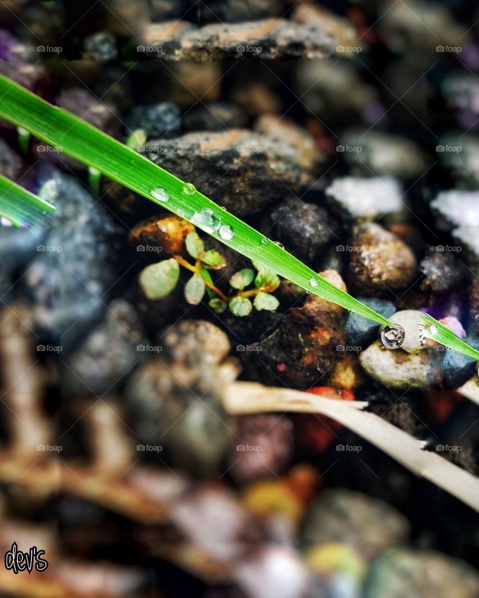 a drop of water means a lot to life in this world 💦