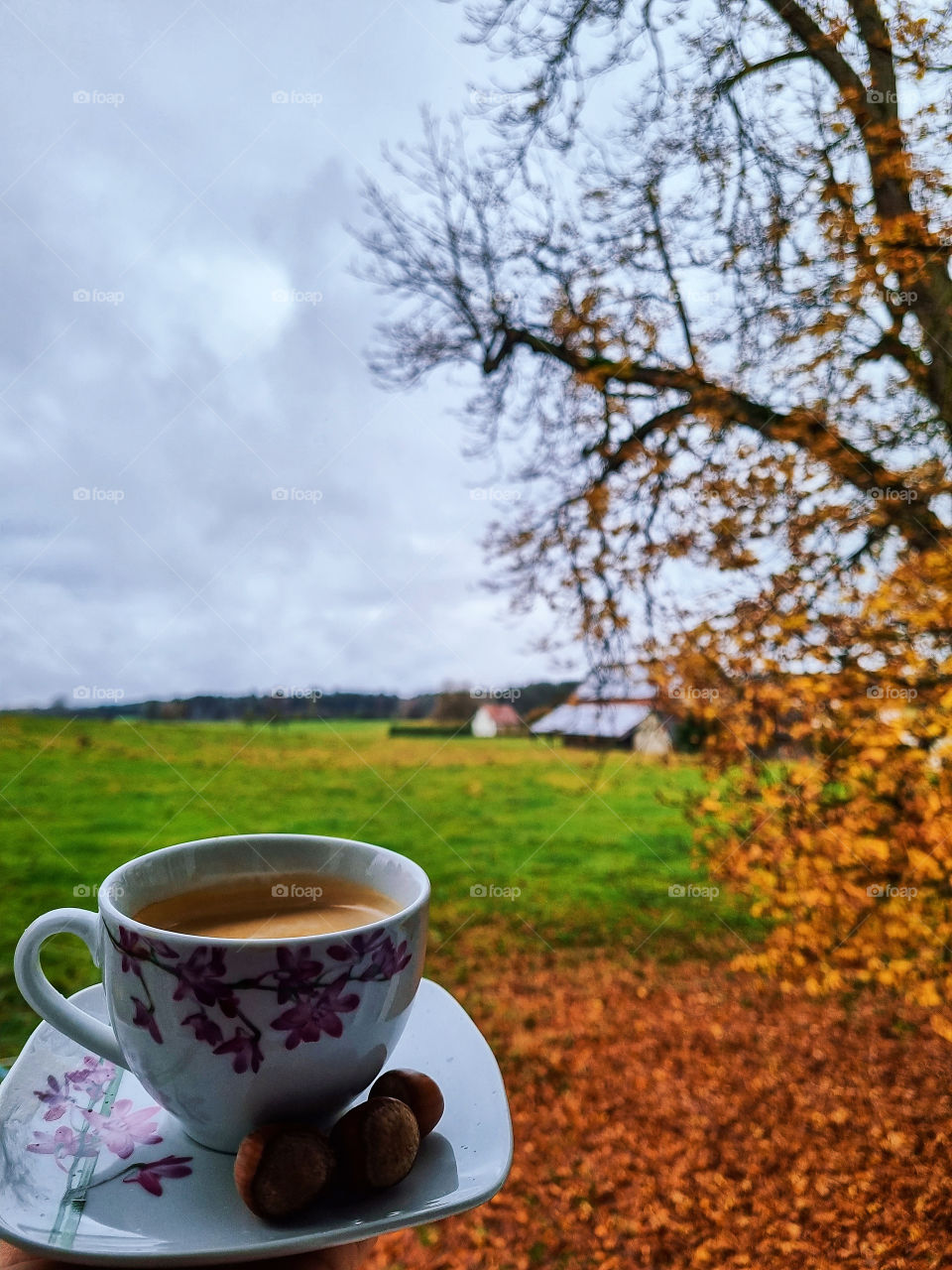 Drinking my coffee everyday with the beautiful view always makes me smile and start my day correctly with joy an hope for life. The autumn view is unmatched in my eyes. It's the little things that make life better and worth living.