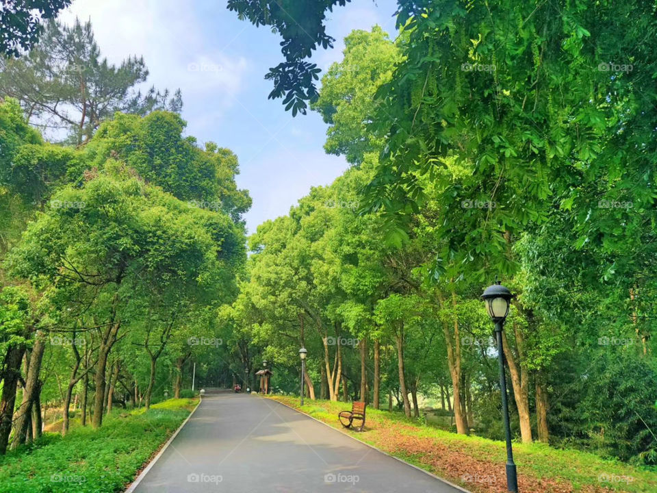 Sight: What is the long end?