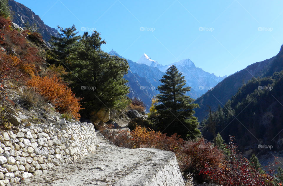 Gangotri National Park