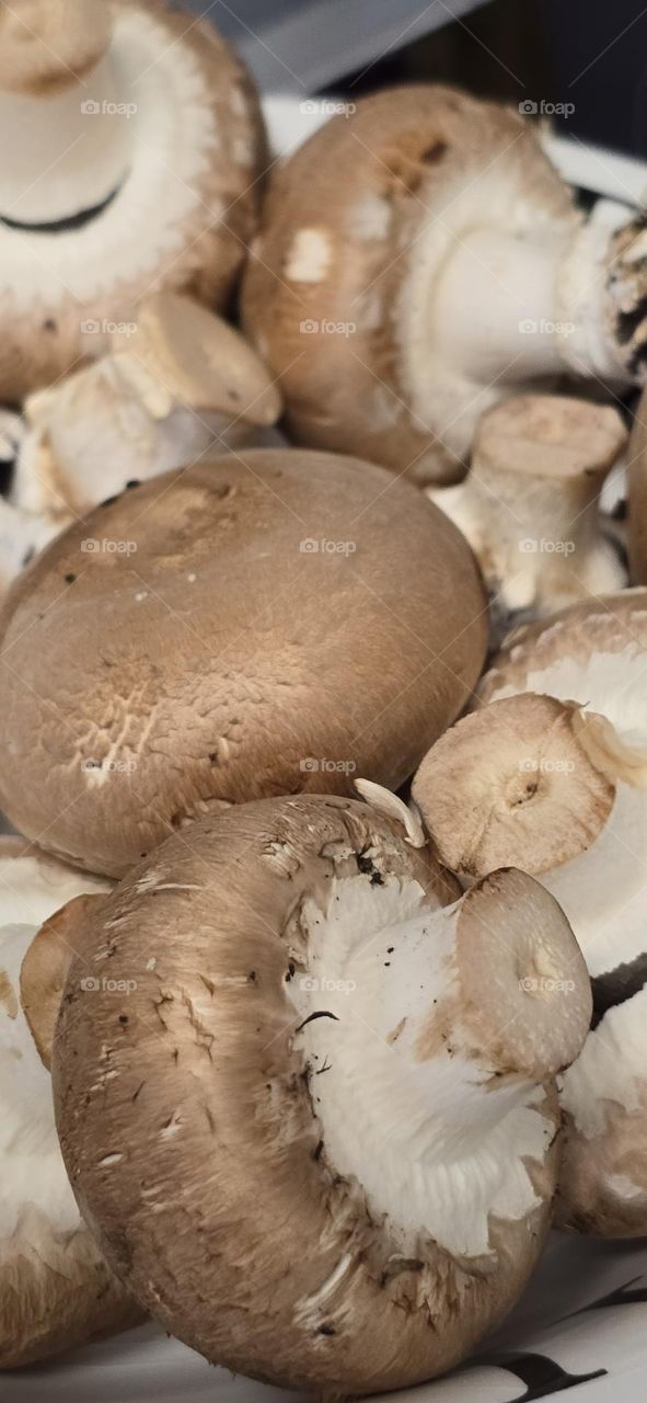 Champignons