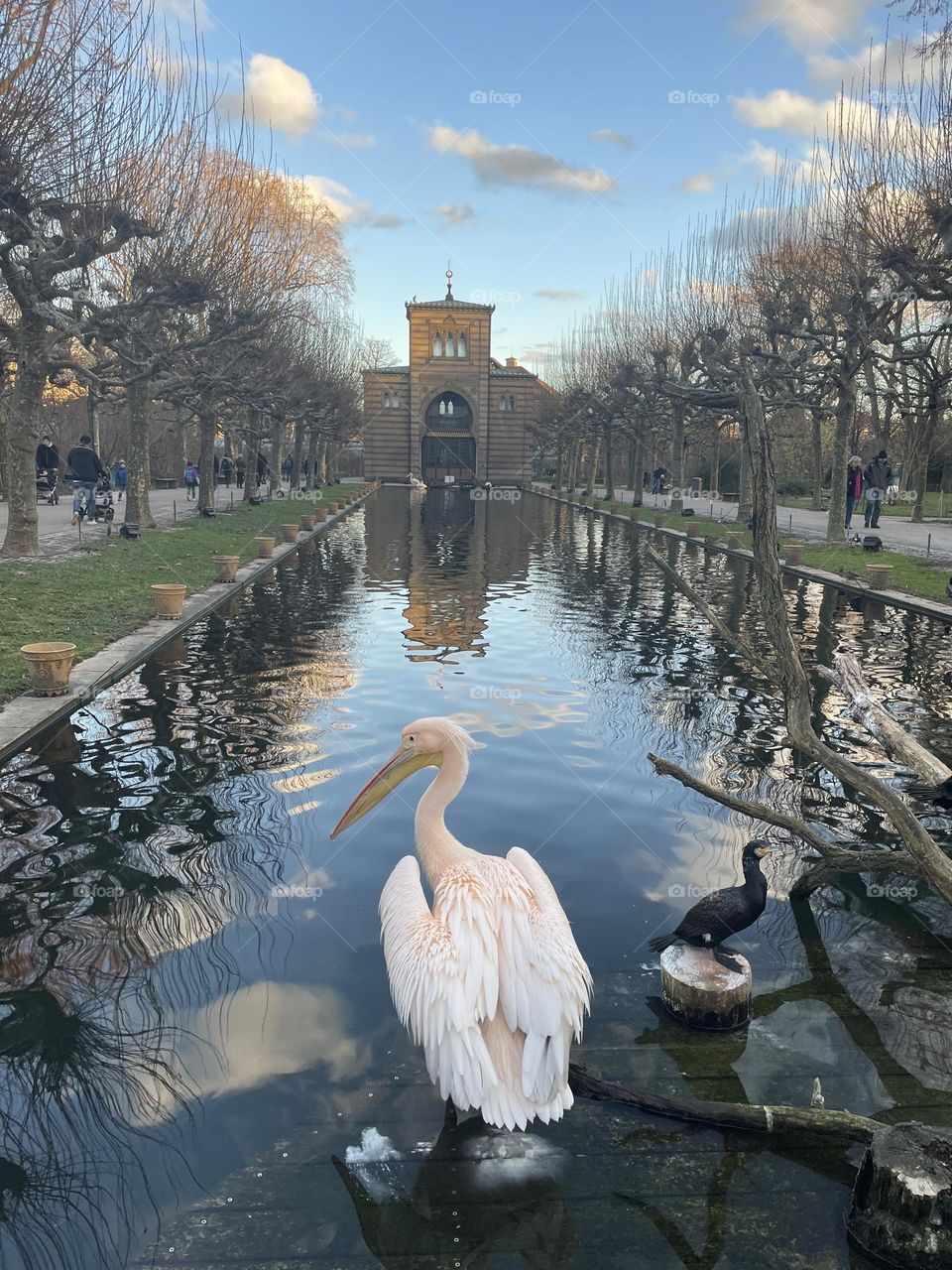 Wilhelma Zoo in Stuttgart 