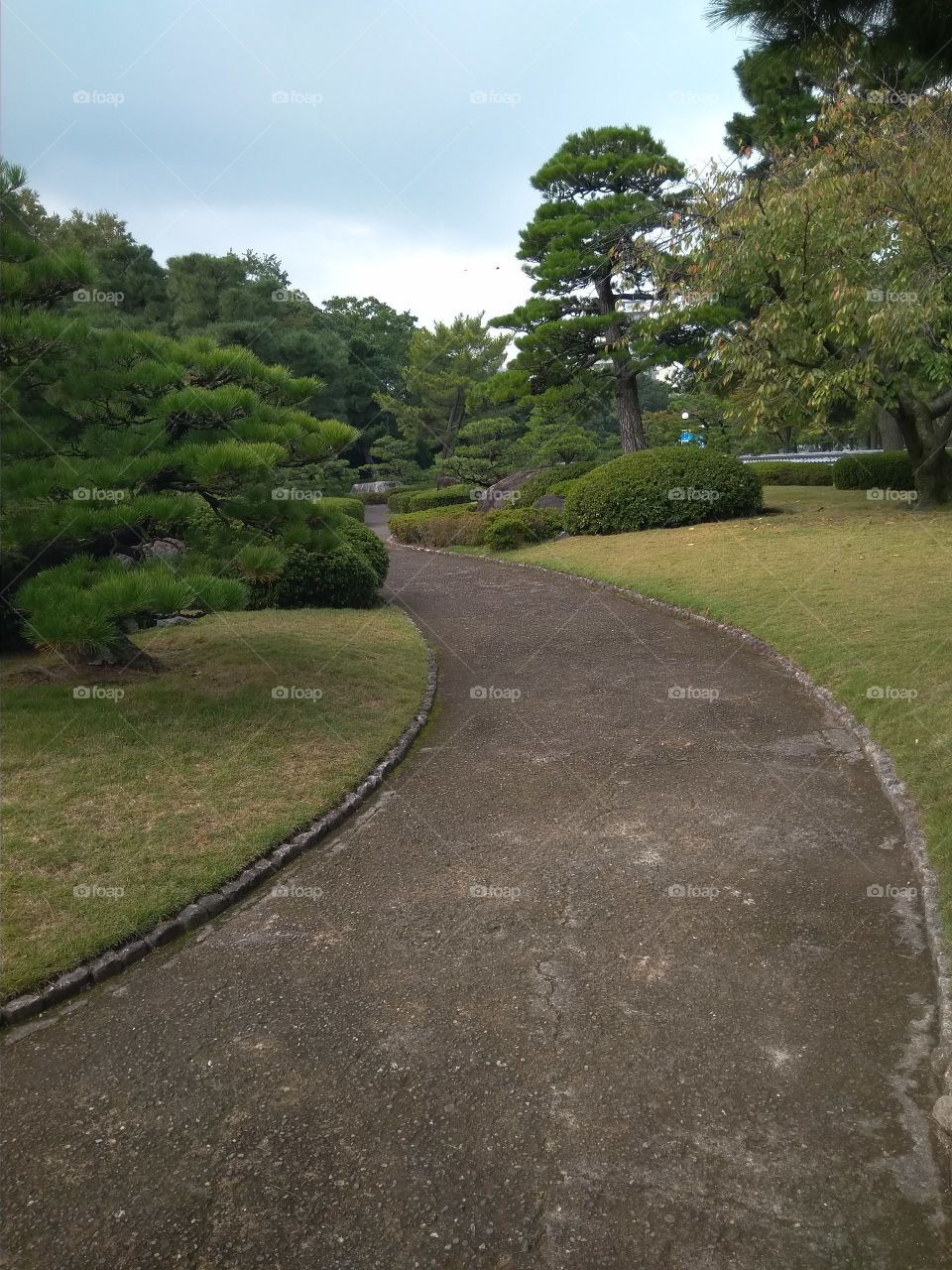 Fukuoka garden