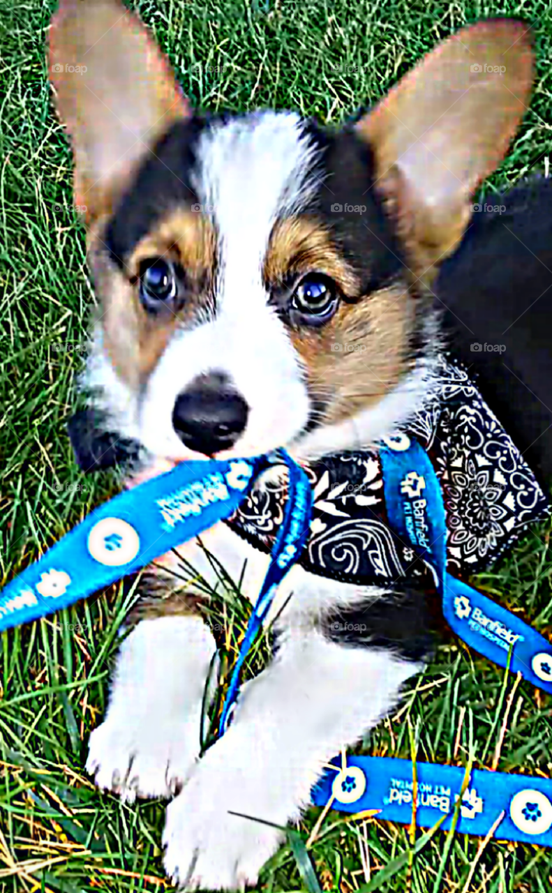 I said, I'm not going in