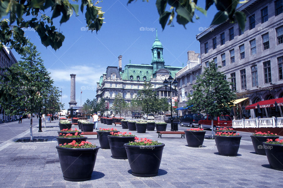 Place Jacques Cartier and Hotel De Ville in old Montreal - Montreal, Canada. 