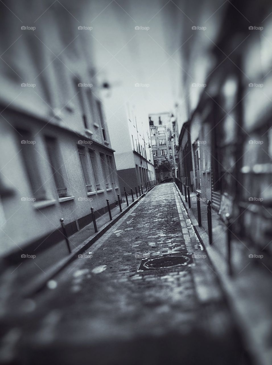 Paris street 