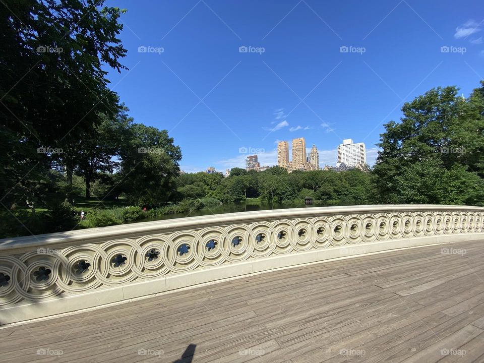 New York City Bridge in Central Park