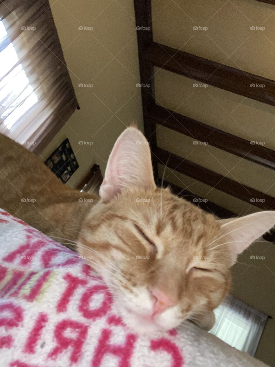 Life is just sooo difficult 