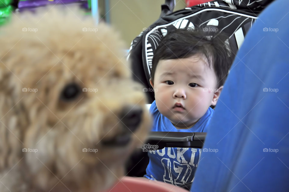 Asian baby looking at dog