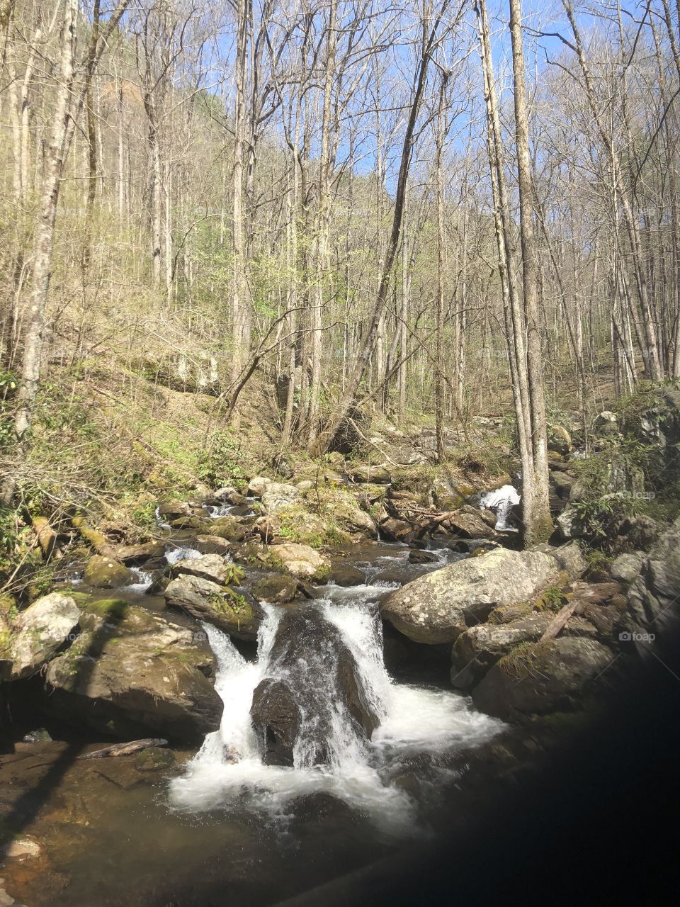 Early spring landscape in the North Georgia Mountains