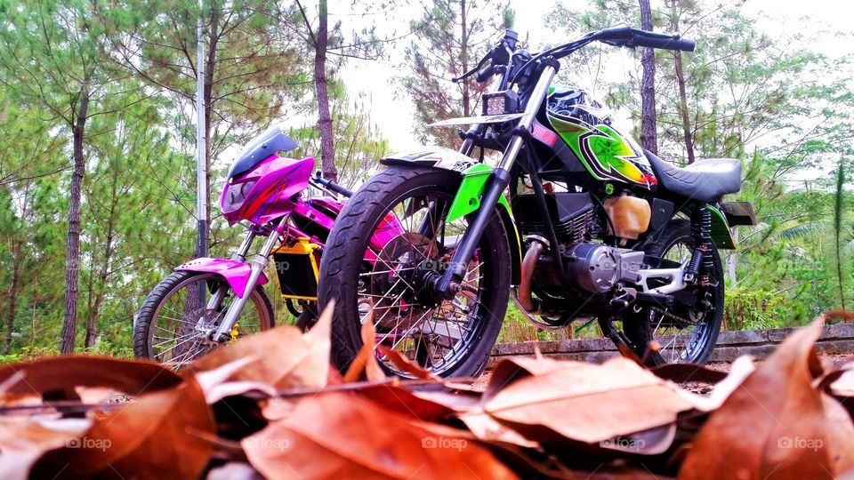 green and pink motorcycle photo