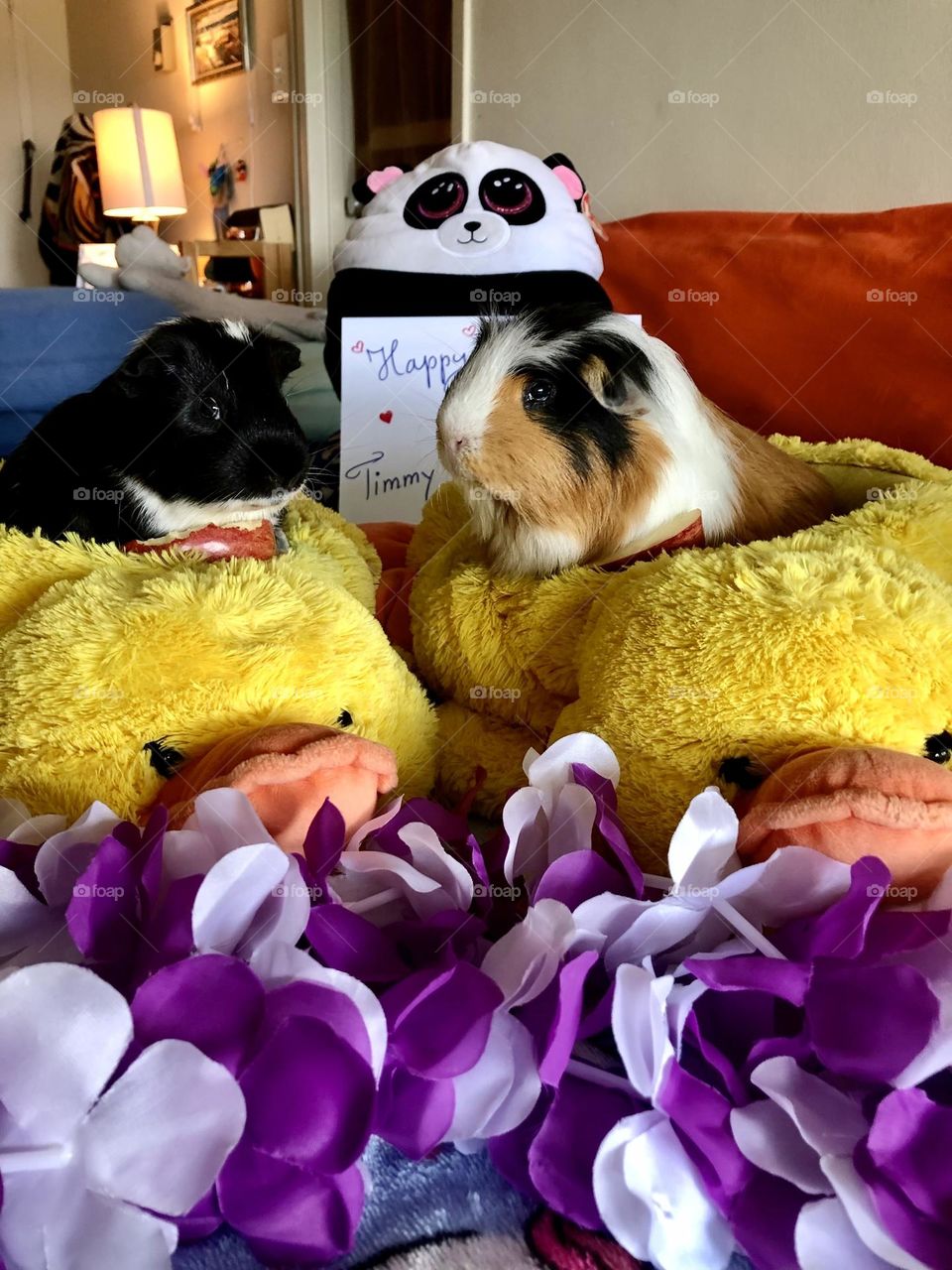 Timmy and Jonathan celebrate their Birthday together. Happy  4 th. Birthday 🎉