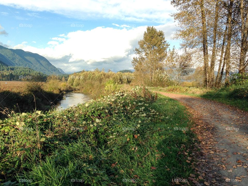 The Deboughville Slough in Autumn, beautiful like a painting. It feeds into one of the worlds largest tidal lakes, with stunning mountain scenery. 