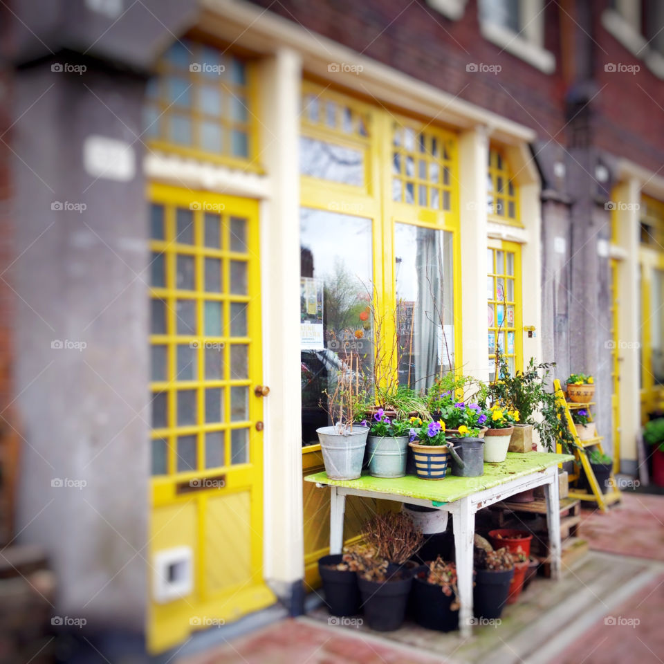 Mini garden in front of a house in Amsterdam, the Netherlands 