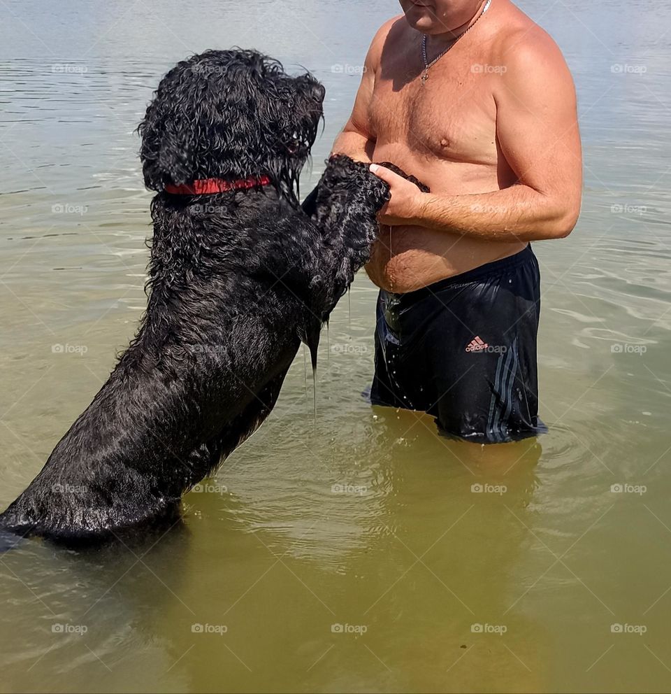 men with dog pet in water lake, summer time, furry friend