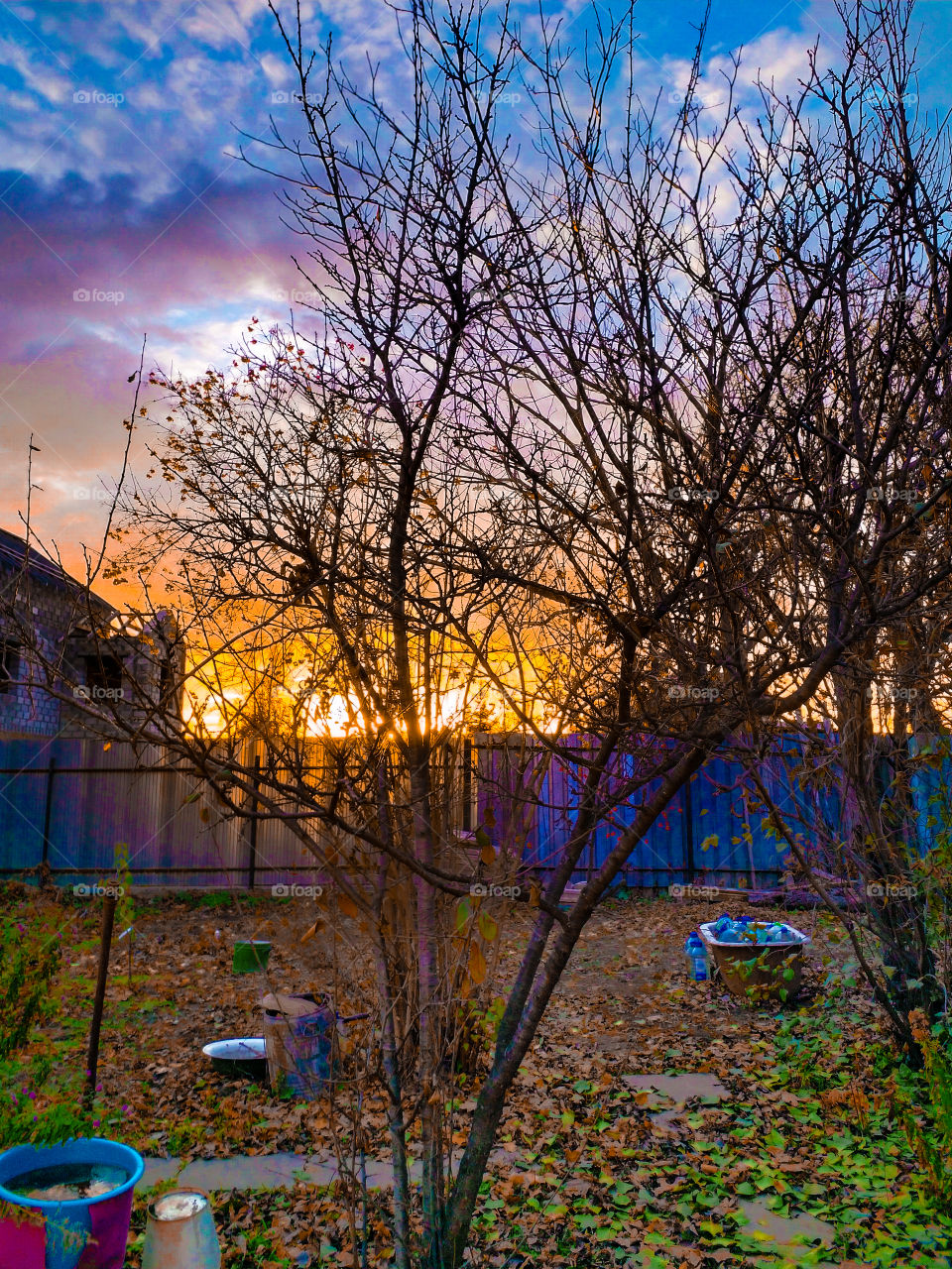 закат, сад, деревья, листья, дом, забор, облака, небо.