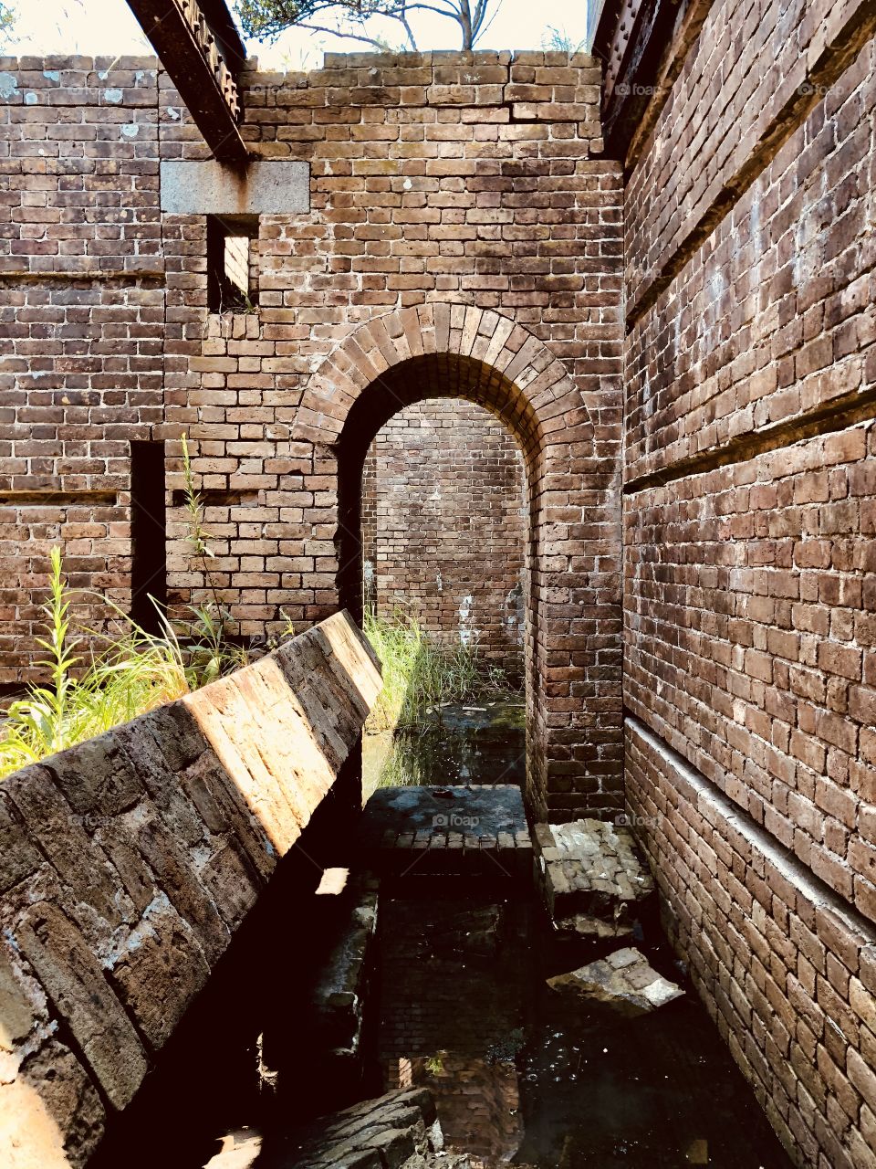 Exploring Fort Proctor