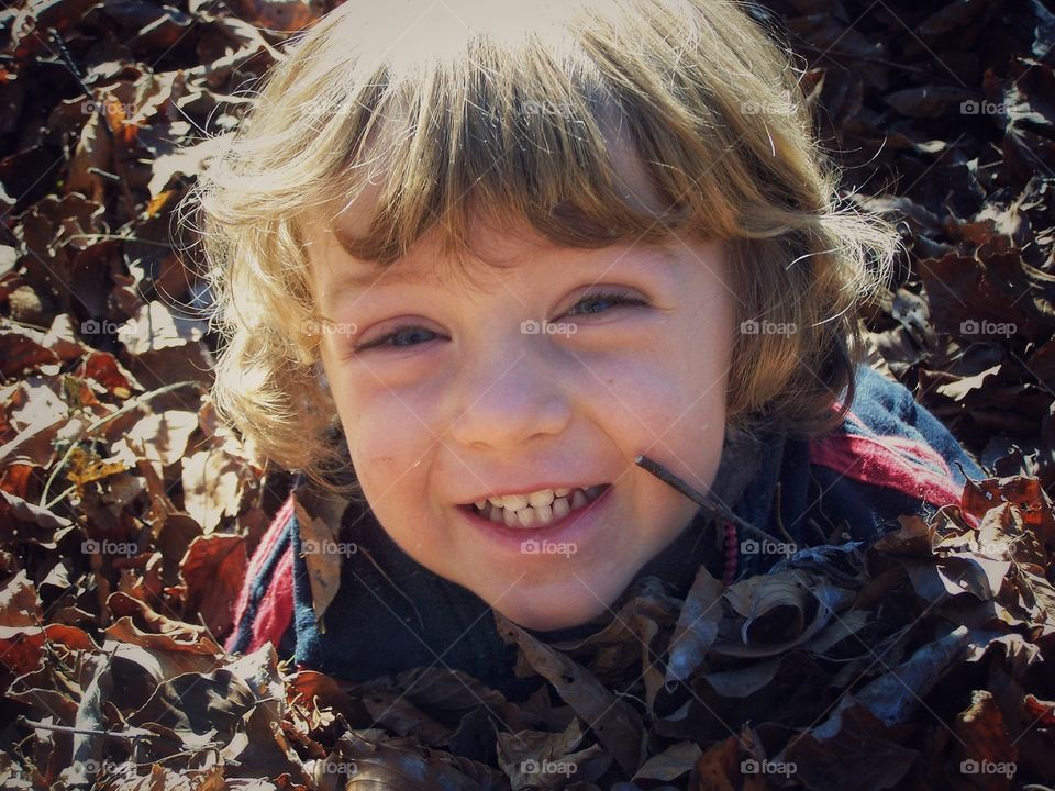 Child in the wood. A child play with the leaves