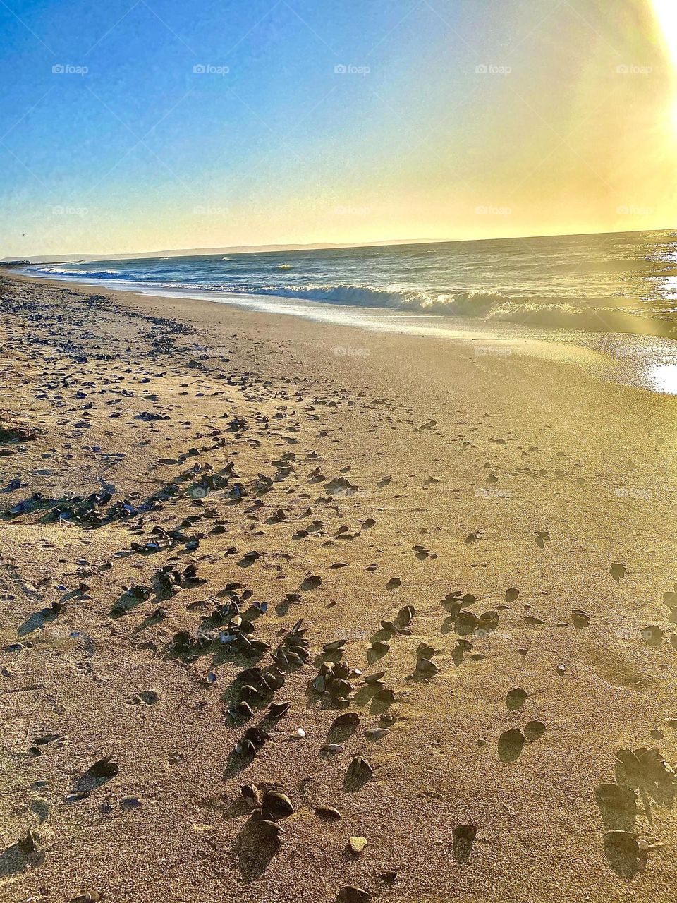 Beach view