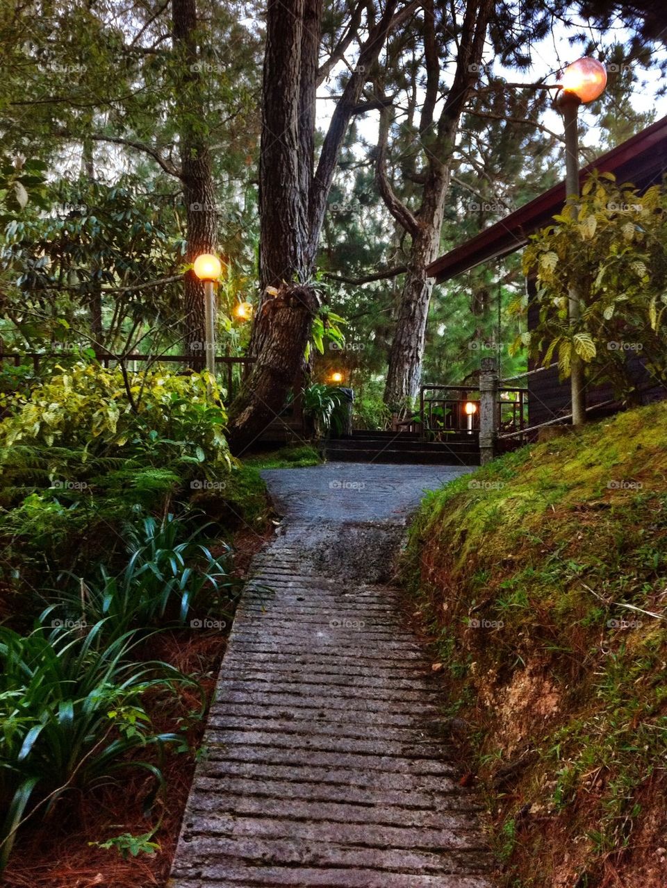 Chalet pathway