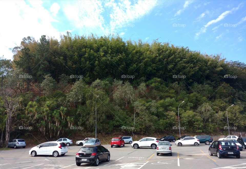 The parking and the nature