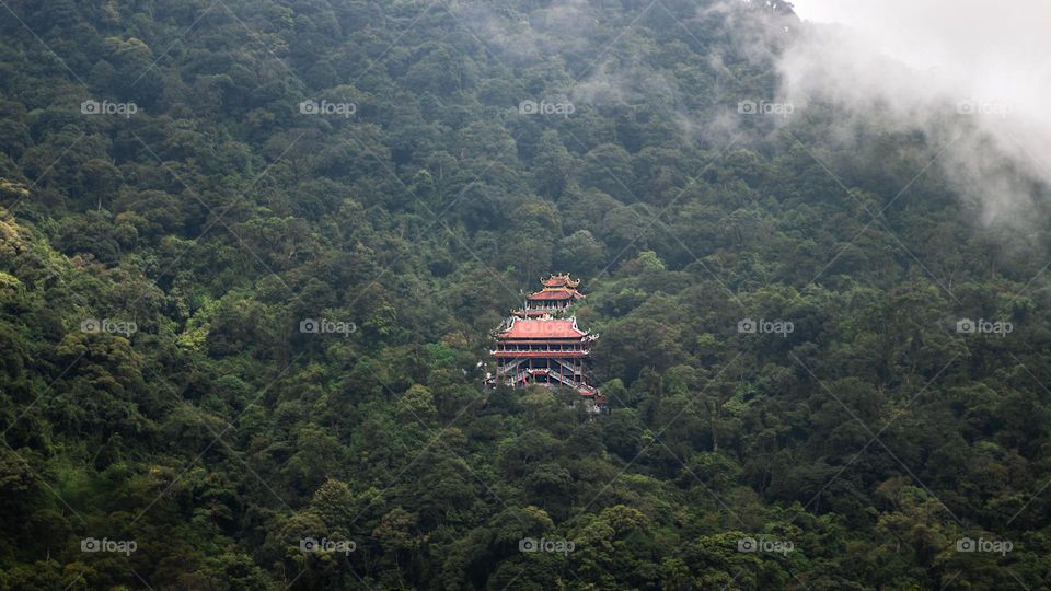 Pagoda among the trees 