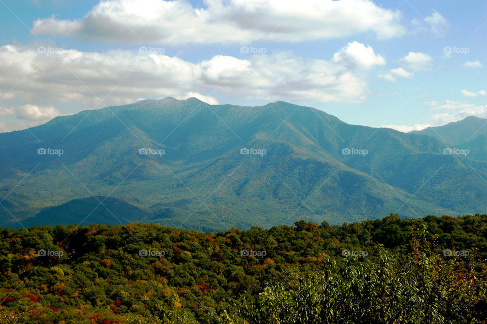 North Carolina mountains