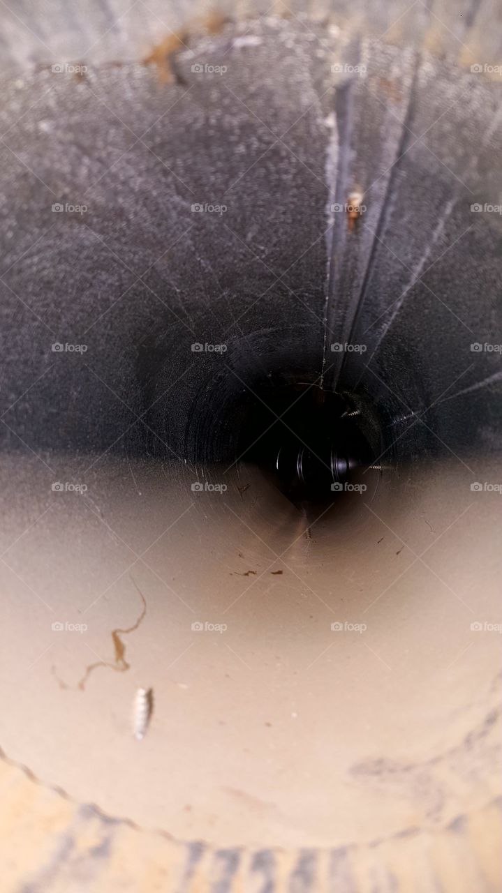 Abstract, People, No Person, Invertebrate, One