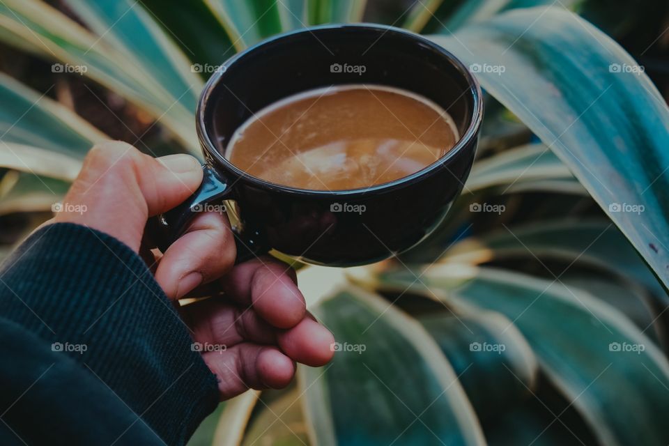 coffee