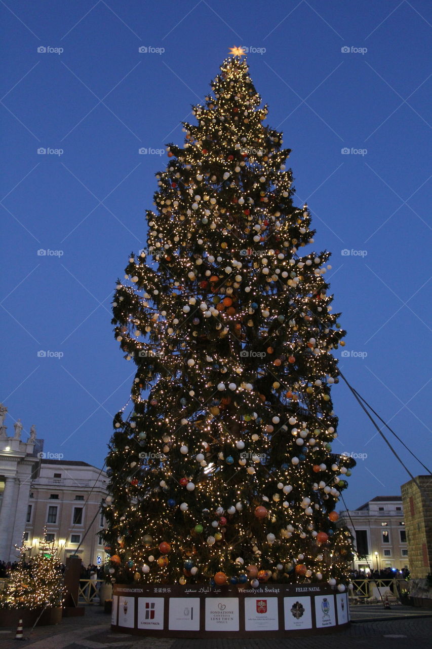 Christmas tree - vatican square - 2016