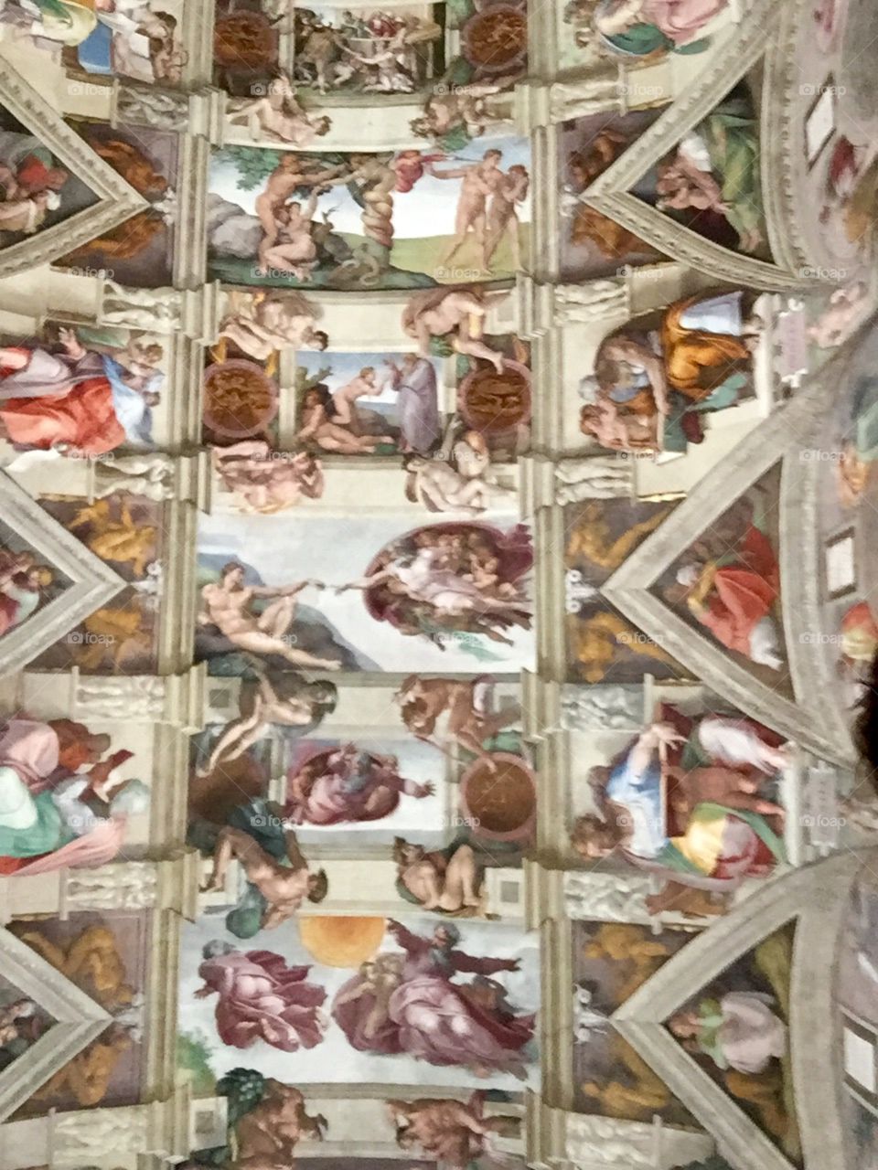 Sistine chapel ceiling 
