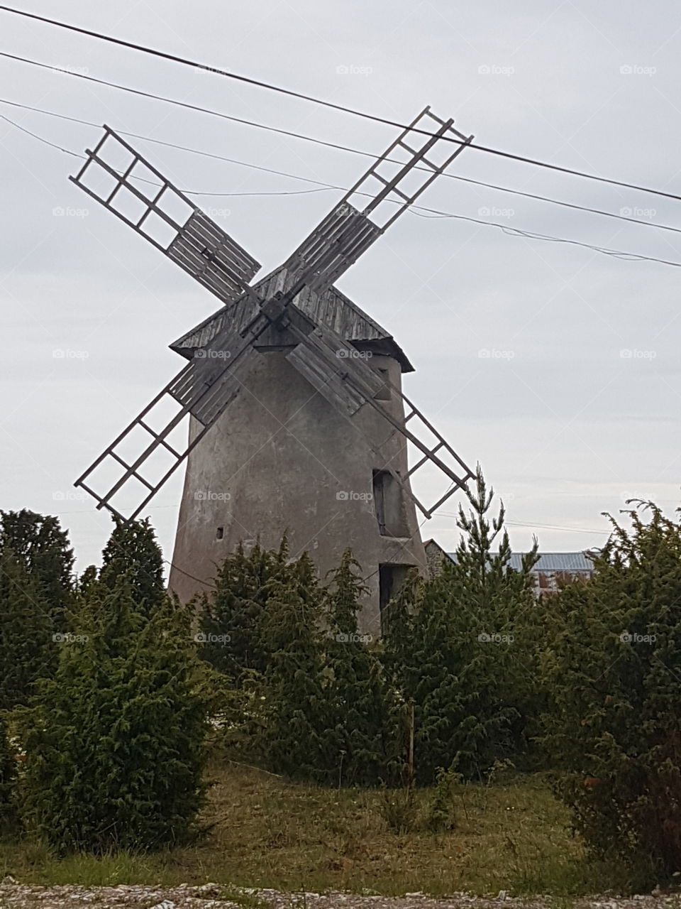 wind mill