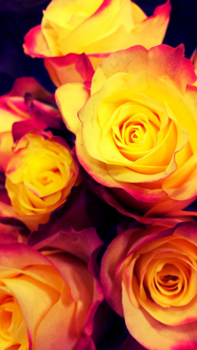 "Yellow & Orange Roses"