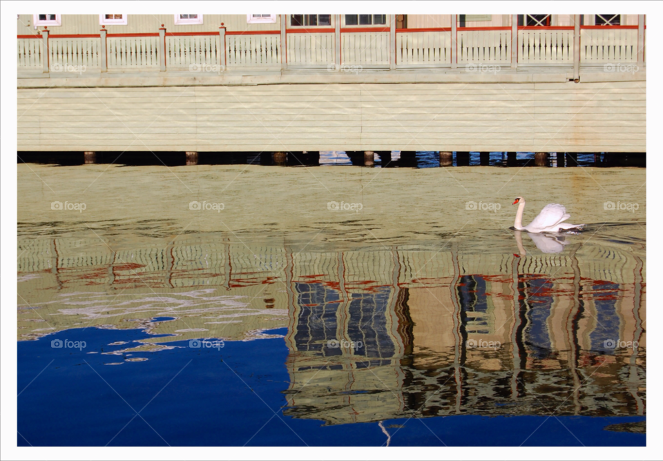 malmö swan ribersborg by NinniHL