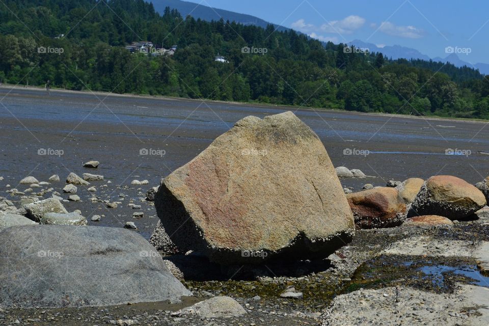 Low tide in the inlet. Exposed Boulder at low tide in inlet