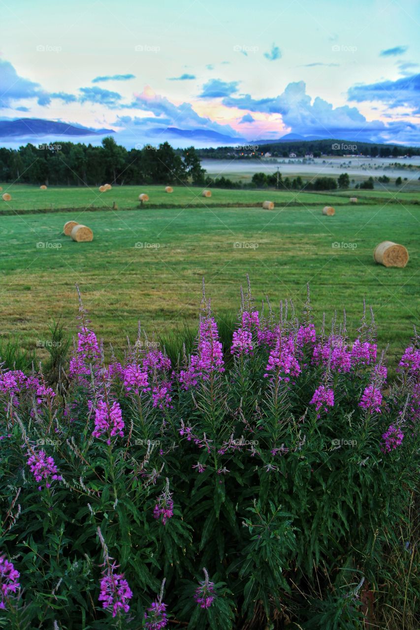 Low level fog on sunrise, Scotland