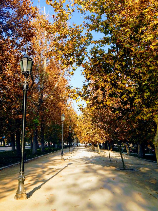 Autumn giving its beautiful colors.
