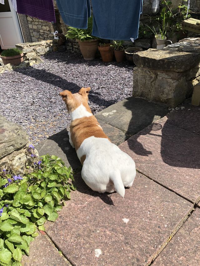 Sunbathing 💕