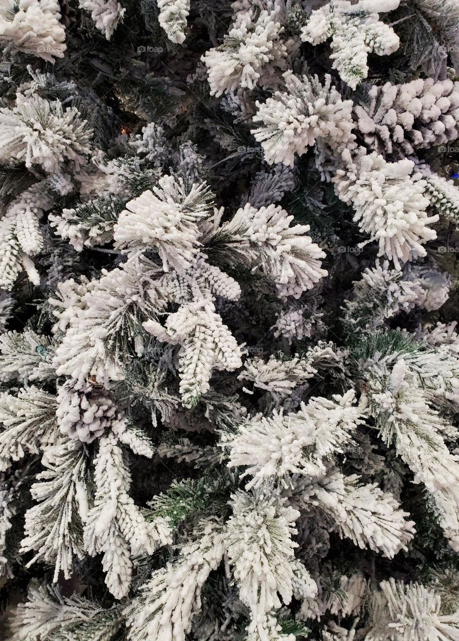 Christmas Tree of Snow