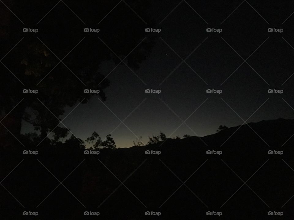 Predawn Waiting Game