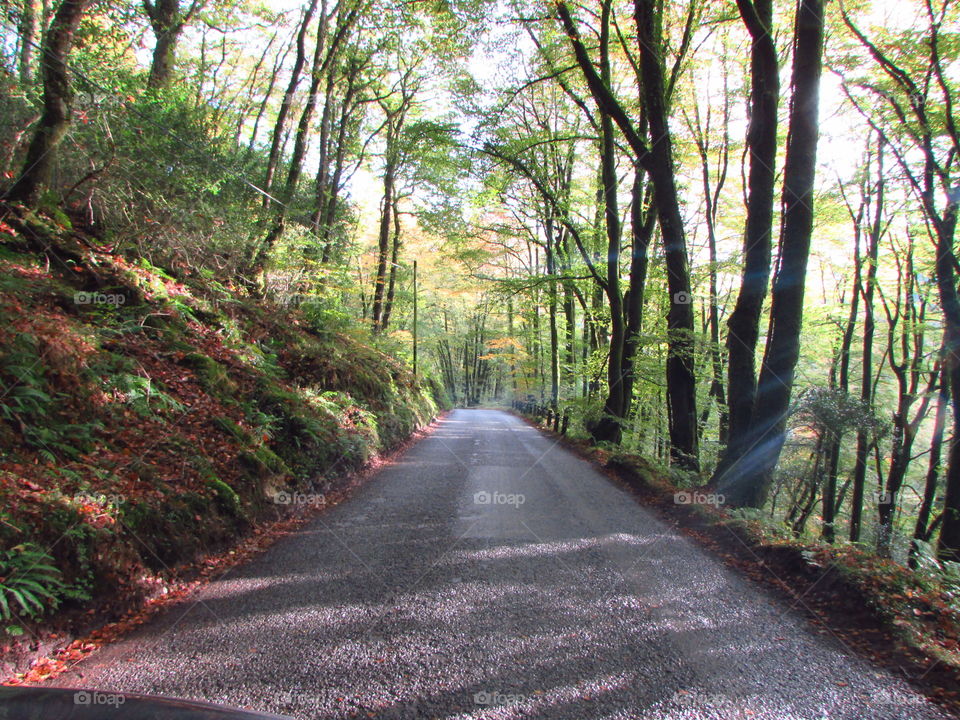 A narrow road on the edge of Exmoor