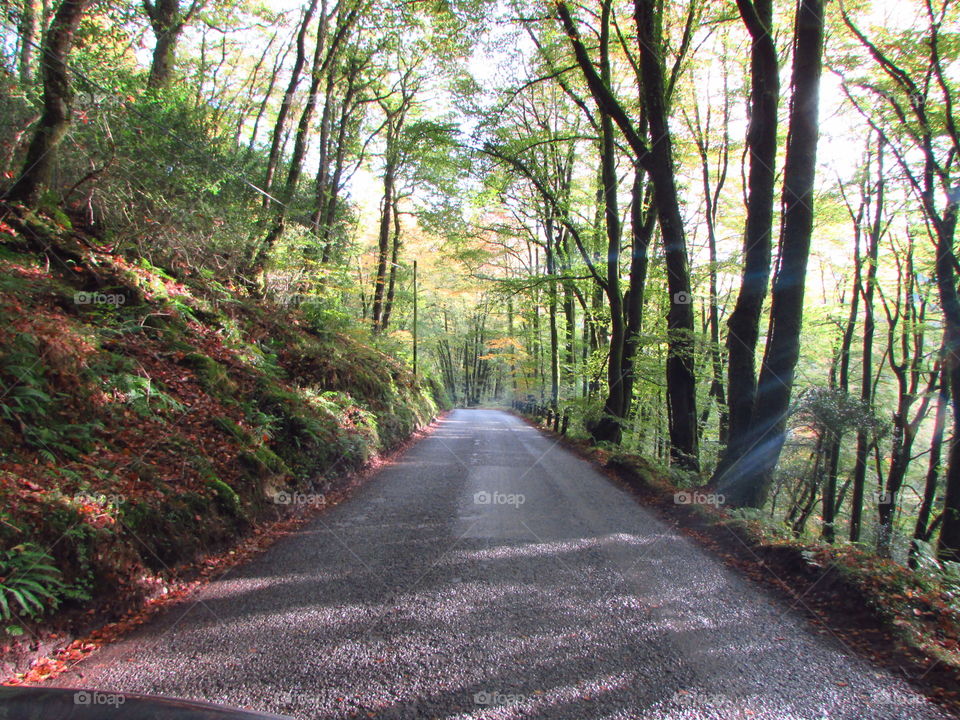 A narrow road on the edge of Exmoor